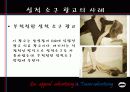 성적 소구 광고와 티저 광고 11페이지