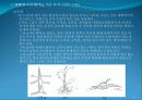htp검사 분석 법 35페이지