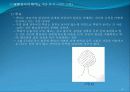 htp검사 분석 법 42페이지