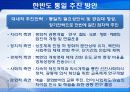 한반도 통일방안 13페이지