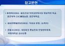 이라크전에서의 정보전 19페이지