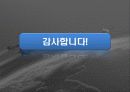 이라크전에서의 정보전 21페이지