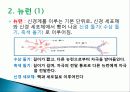 신경계의 조직과 구성 3페이지