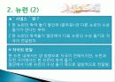 신경계의 조직과 구성 4페이지