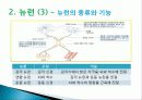 신경계의 조직과 구성 5페이지
