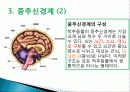 신경계의 조직과 구성 7페이지