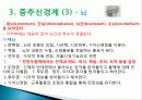 신경계의 조직과 구성 8페이지