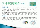 신경계의 조직과 구성 10페이지