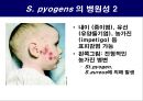 공기매개 병원균, 호흡기 질병 원인균 14페이지