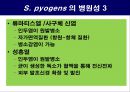 공기매개 병원균, 호흡기 질병 원인균 15페이지