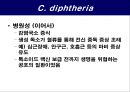 공기매개 병원균, 호흡기 질병 원인균 26페이지