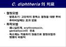 공기매개 병원균, 호흡기 질병 원인균 28페이지