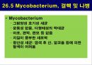 공기매개 병원균, 호흡기 질병 원인균 33페이지