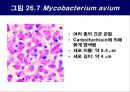 공기매개 병원균, 호흡기 질병 원인균 34페이지