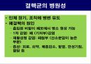공기매개 병원균, 호흡기 질병 원인균 36페이지