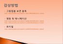 겐지모노가타리 5페이지