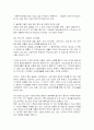 [다국적기업론] 13페이지