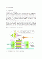 [다국적기업론] 22페이지