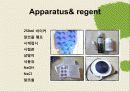 비누만들기 11페이지