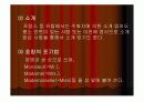국제 사회의 매너 문화에 대한 분석 3페이지