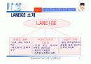 라네즈(태평양 화장품)의 마케팅 전략 분석 5페이지