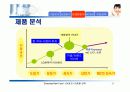 라네즈(태평양 화장품)의 마케팅 전략 분석 12페이지