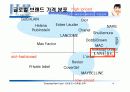 라네즈(태평양 화장품)의 마케팅 전략 분석 14페이지