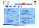 라네즈(태평양 화장품)의 마케팅 전략 분석 16페이지
