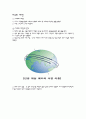 지구의 공전과 자전 1페이지