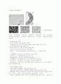 세균 (박테리아) - 광합성 세균류,질소고정 박테리아,무기영양세균(Lithotrophs),메탄 산화 박테리아,Methanogens 등 3페이지