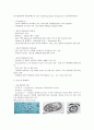 세균 (박테리아) - 광합성 세균류,질소고정 박테리아,무기영양세균(Lithotrophs),메탄 산화 박테리아,Methanogens 등 6페이지
