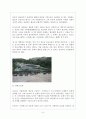 일본의 종교문화 및 일본인의 종교의식 8페이지