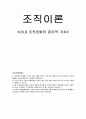 9장 조직문화와윤리적가치 (조직이론 토의문제) 1페이지