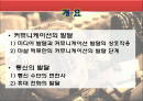 [PPT]인류의 역사와 미디어의 발달에 관하여 2페이지