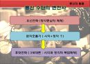 [PPT]인류의 역사와 미디어의 발달에 관하여 5페이지