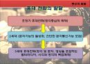 [PPT]인류의 역사와 미디어의 발달에 관하여 11페이지