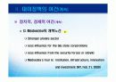 러시아 외교 14페이지
