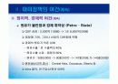 러시아 외교 15페이지