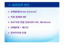 러시아 외교 23페이지