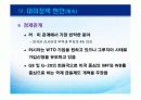 러시아 외교 30페이지