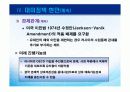 러시아 외교 31페이지