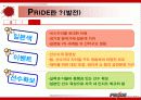 이종격투기(PRIDE)에 대한 소비자 마케팅 전략 분석 8페이지