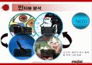 이종격투기(PRIDE)에 대한 소비자 마케팅 전략 분석 14페이지