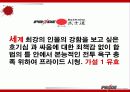 이종격투기(PRIDE)에 대한 소비자 마케팅 전략 분석 15페이지