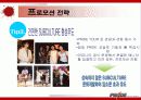 이종격투기(PRIDE)에 대한 소비자 마케팅 전략 분석 25페이지