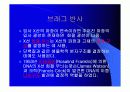 X-선,CT,MRI비교 18페이지