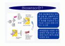 바이오센서(BIOSENSOR)의 구성,장단점,종류,응용에 관한 보고서 3페이지