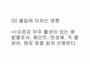 LA 스모그(광화학 스모그) 5페이지