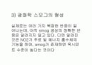 LA 스모그(광화학 스모그) 7페이지