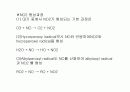 LA 스모그(광화학 스모그) 8페이지